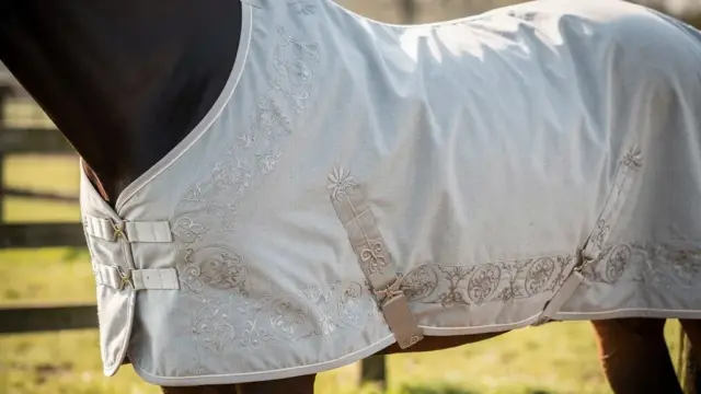 Abschwitzdecke besticken mit eleganten Schriftarten und individuellen Motiven für Pferde