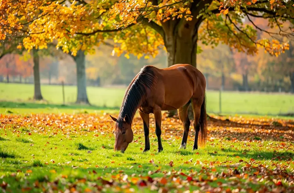Anweiden im Herbst: sanfte Anpassung für gesunde Pferde zur Winterfütterung