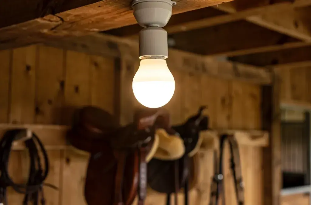 Betriebskosten Reitstall optimieren durch effiziente Energienutzung und nachhaltige Praktiken