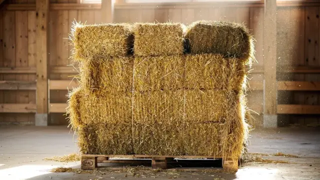 Einstreu richtig lagern für maximale Qualität und Haltbarkeit