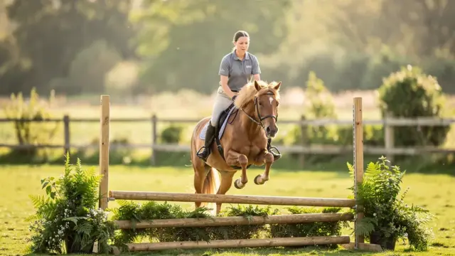 Faires Reiten im Turniersport für das Wohl der Pferde und den Sport