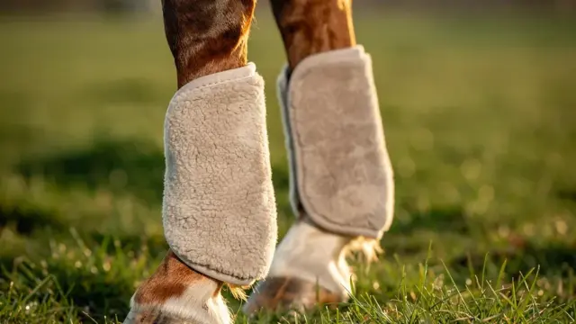 Fleece-Gamaschen für empfindliche Pferde bieten Schutz und Komfort beim Reiten
