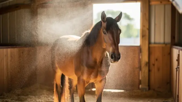 Effektive Fliegenschutzmittel für ein gesundes Stallklima und glückliche Tiere