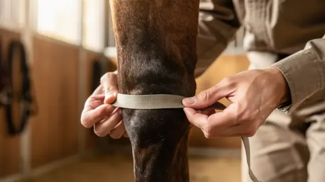 Gamaschen Größe messen für optimalen Sitz und Schutz des Pferdes
