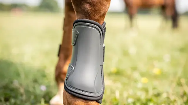 Gamaschen für Pferde: beste Schutzoptionen und Materialvarianten im Überblick