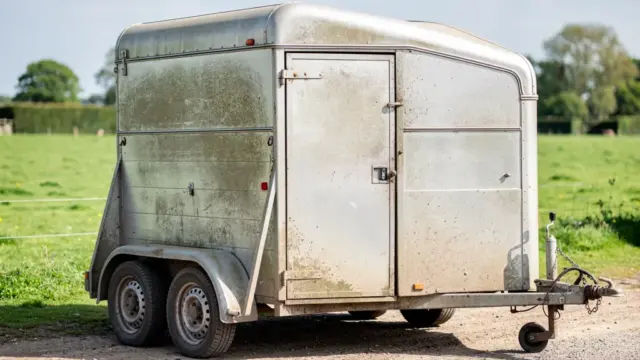 Gebrauchter Pferdeanhänger zur sicheren Transportlösung für Pferde finden