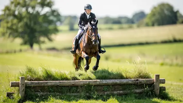 Geländeprüfung Pferd erfolgreich meistern mit Sicherheit und Technik im Turniersport