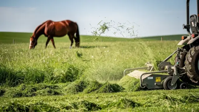 Grasmanagement für Pferdeweiden zur Förderung von gesundem Wachstum und Nährstoffversorgung