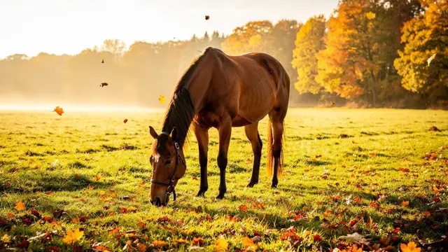 Herbstkolik bei Pferden vermeiden durch präventive Maßnahmen und richtige Fütterung