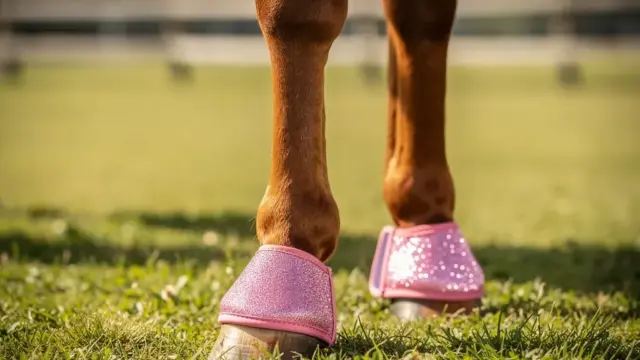 Glitzernde Hufglocken bieten stilvollen Schutz für Pferdebeine beim Reiten