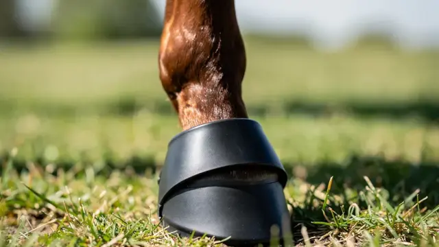 Hufglocken No Turn bieten optimalen Schutz und Stabilität für Pferdebeine im Training