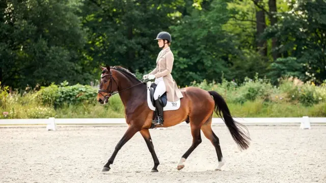 Beitragsbild über klassisches Reiten mit Tradition und modernen Trainingsmethoden