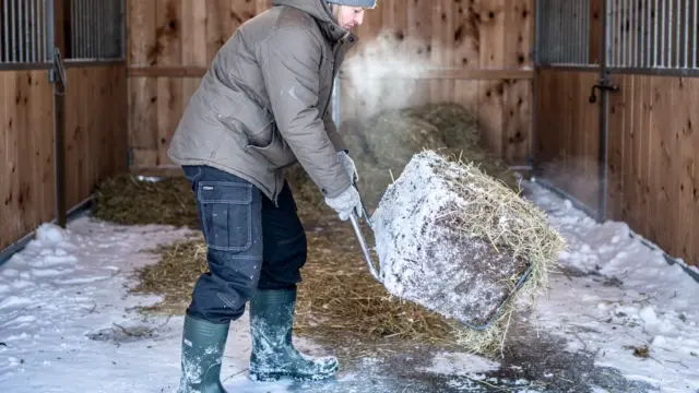 Misten im Winter: Tipps für Stallhygiene und Tierwohl bei Kälte
