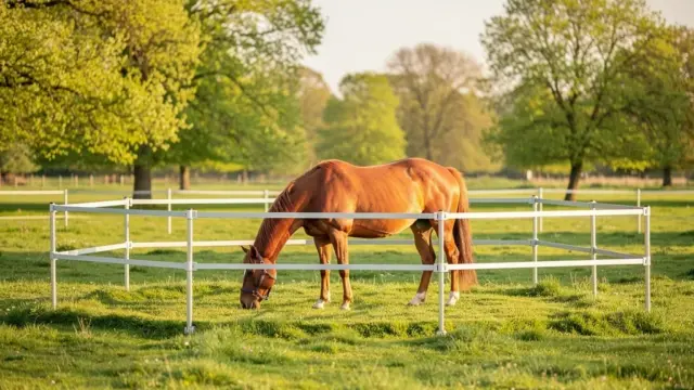 Mobile Paddocks erhöhen die Flexibilität in der Pferdehaltung und verbessern Lebensqualität