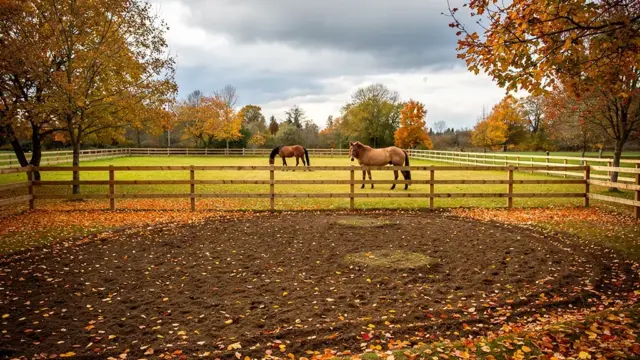 Paddock Herbst Vorbereitung für optimale Drainage und Matschvermeidung im Blogartikel