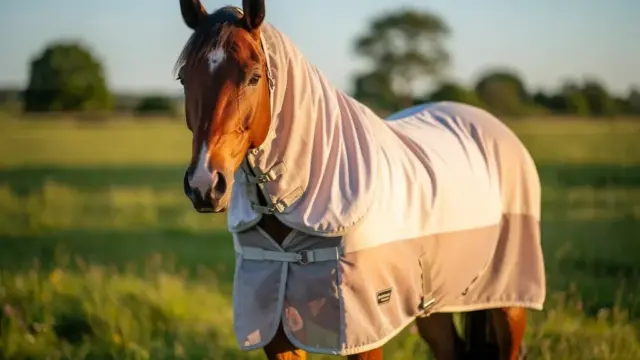 Pferd fliegendecke bietet optimalen Schutz und Komfort für entspannte Ausritte