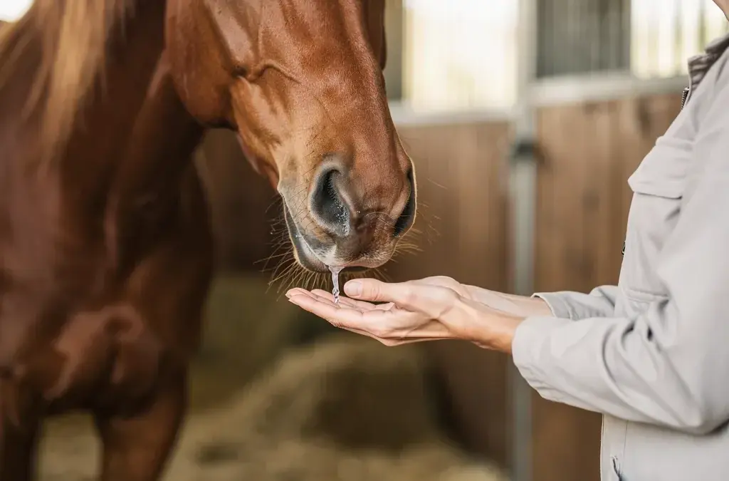 Pferd Influenza: Impfung und Vorbeugung für gesunde Atemwege bei Pferden