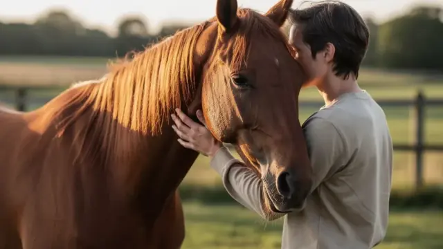 Pferd und Mensch in harmonischer Beziehung basierend auf Vertrauen und Zuneigung