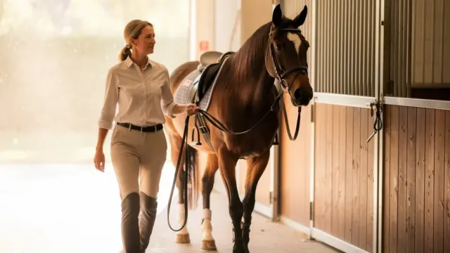Pferdeführerschein für Reitanfänger vermittelt sicheren Umgang mit Pferden und deren Verhalten