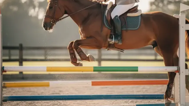 Illustration zum Thema Reitbetrieb Einnahmen