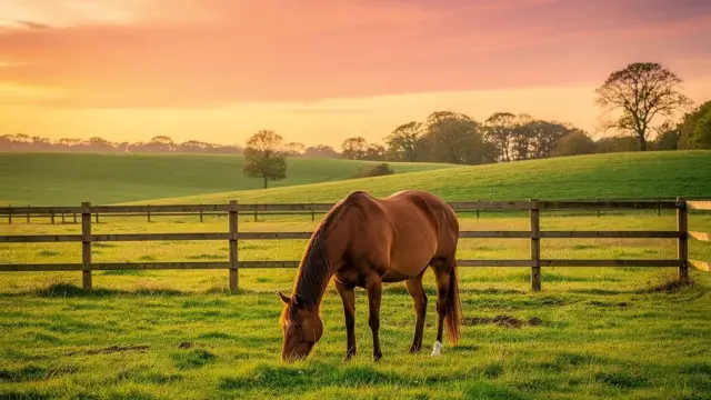 Gemütliche Reiter Unterkunft für erholsamen Reiturlaub mit direktem Zugang zu Reitwegen
