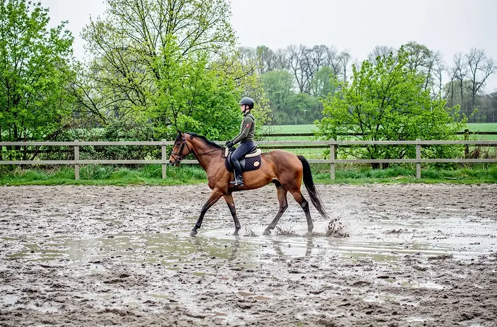 Reitplatzpflege ganzjährig für sichere Bedingungen und optimales Training