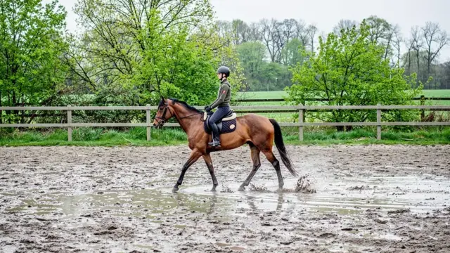 Reitplatzpflege ganzjährig für sichere Bedingungen und optimales Training