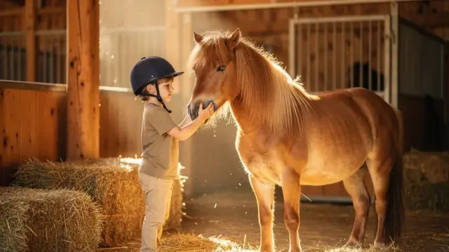 Reiturlaub für Kinder mit individuellen Angeboten und spannenden Aktivitäten