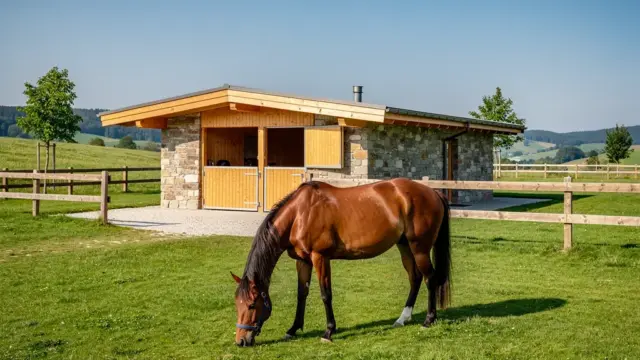Beitragsbild zum Thema Reiturlaub Kosten und Preisvergleich für Unterkunft und Verpflegung