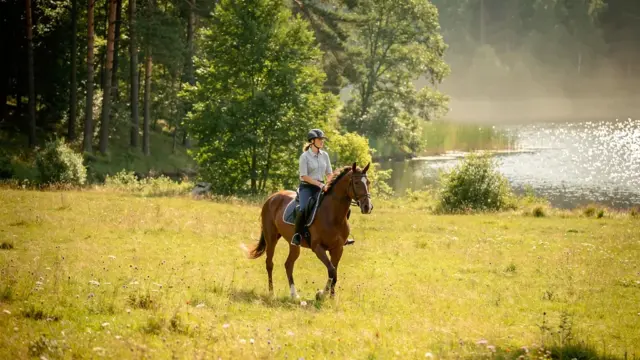Reiturlaub Polen: Abenteuer und Erholung in unberührter Natur und malerischen Landschaften