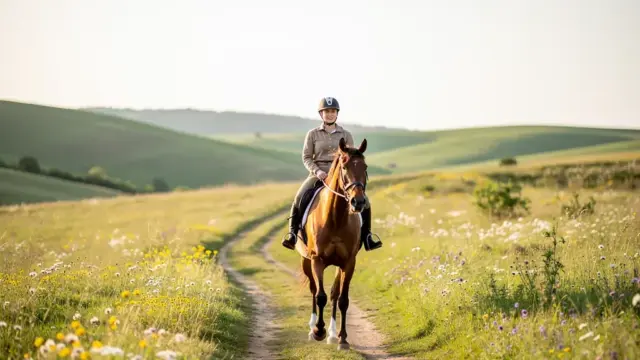 Reiturlaub in der Region: Vielfältige Angebote für Pferdefreunde in schöner Natur
