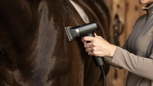 Schermaschine für Pferde mit Fokus auf Leistung und Ergonomie beim Kauf beraten