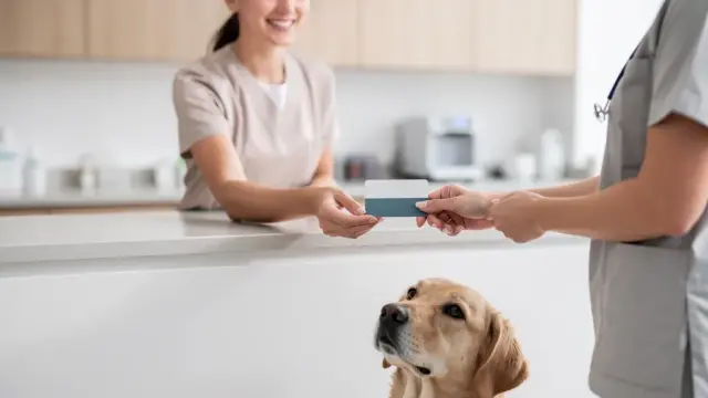 Tierarzt-Abrechnung Versicherung direkte Abrechnung für finanzielle Entlastung der Tierhalter