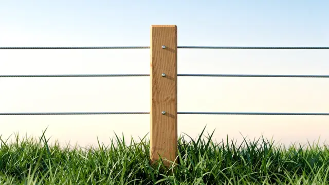 Weidezaun Pflege zur ganzjährigen Instandhaltung für sichere Tierhaltung