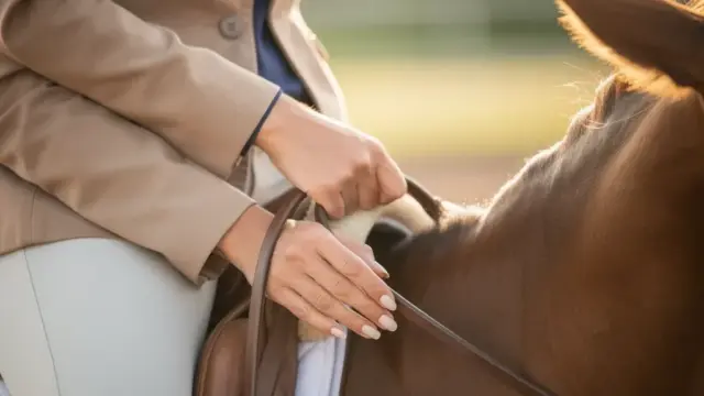 Zügelführung Pferd für Vertrauen und harmonische Reitbeziehung optimieren